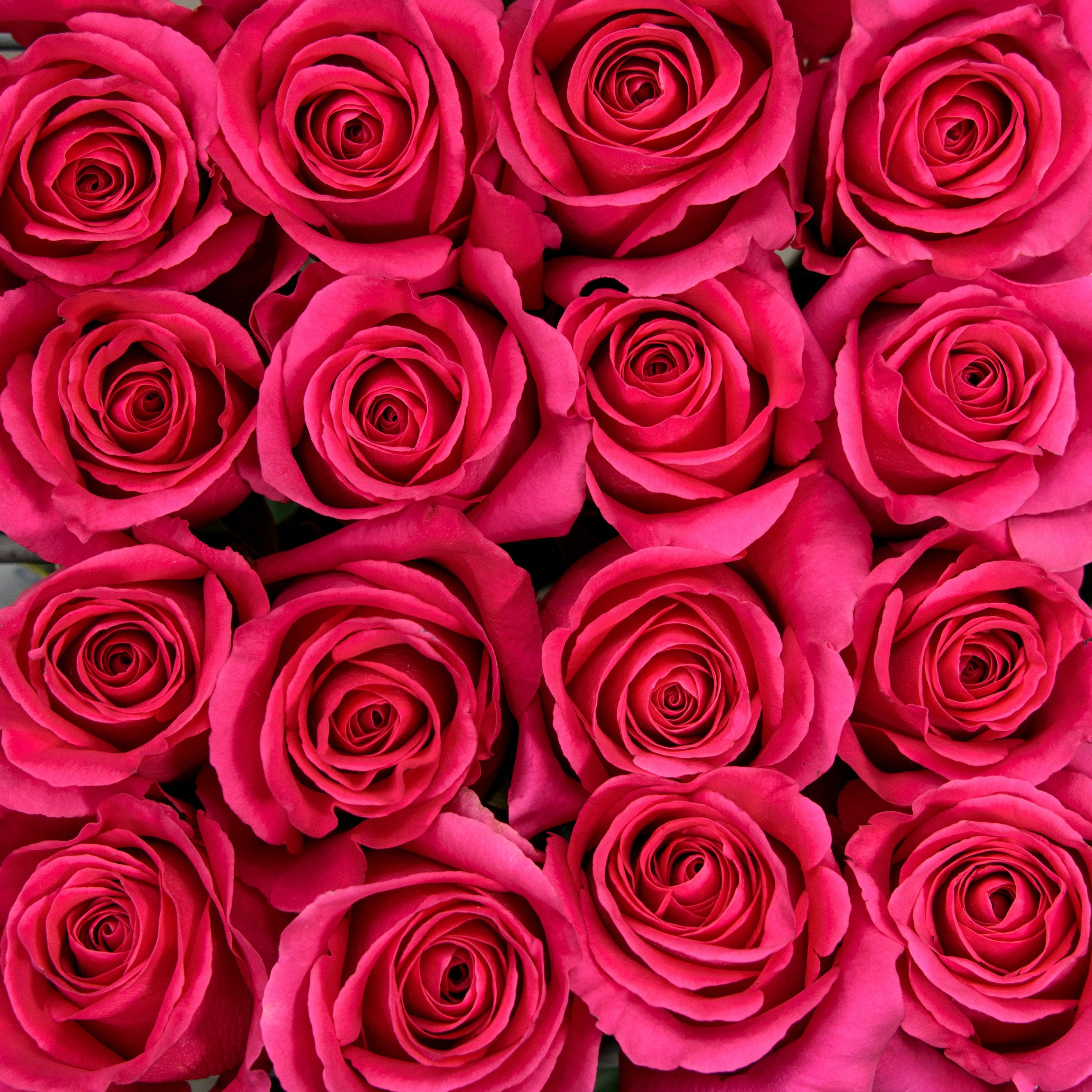 25 Stems Roses