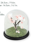 Dome Cherry Blossom · Preserved Tree
