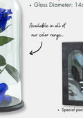 Dome Eva · Single Rose, 27 cm