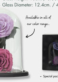 Dome Kyda · Two Garden Roses, 16 cm