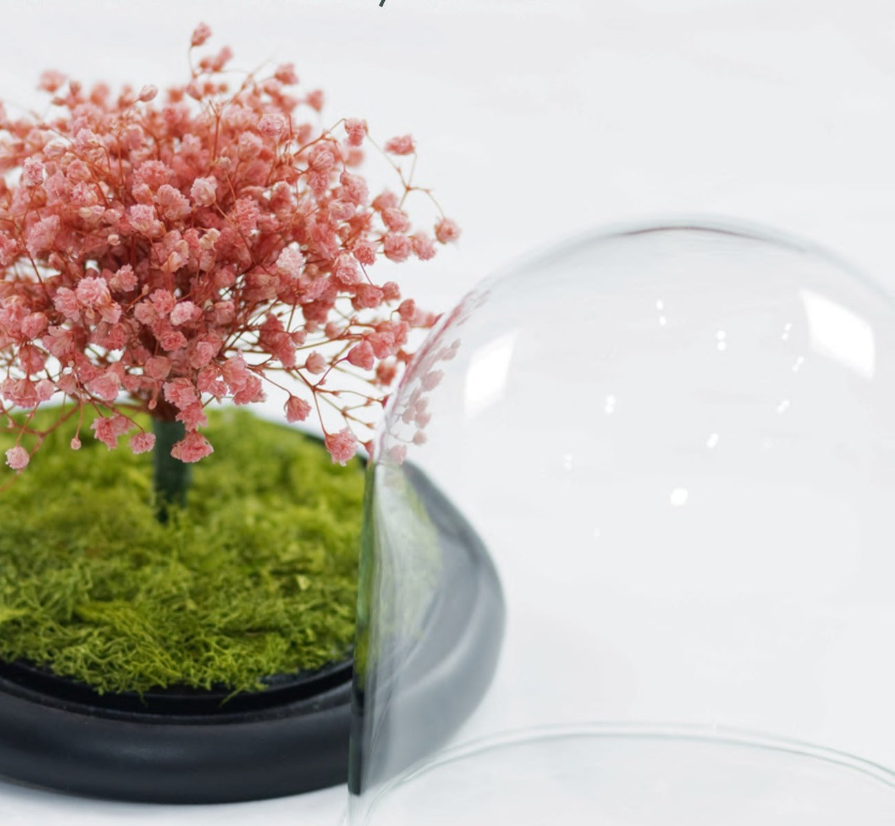 Dome Tree · Preserved Floral Tree