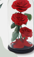 Dome Valentina · Three Roses, 27 cm