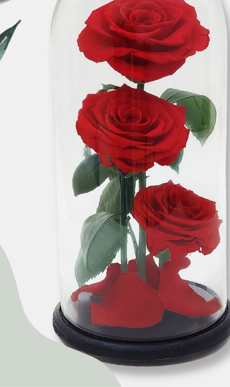 Dome Valentina · Three Roses, 27 cm