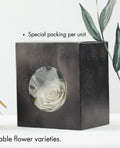 Gift Box 42 · Rose in Hanging Glass Globe