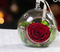 Gift Box 44 · Rose in Glass Ornament
