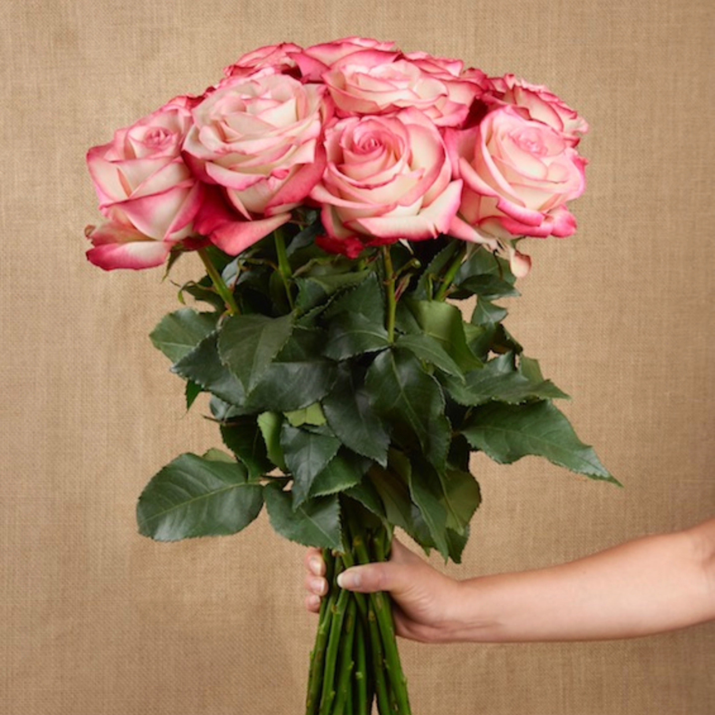 12 Stem Roses