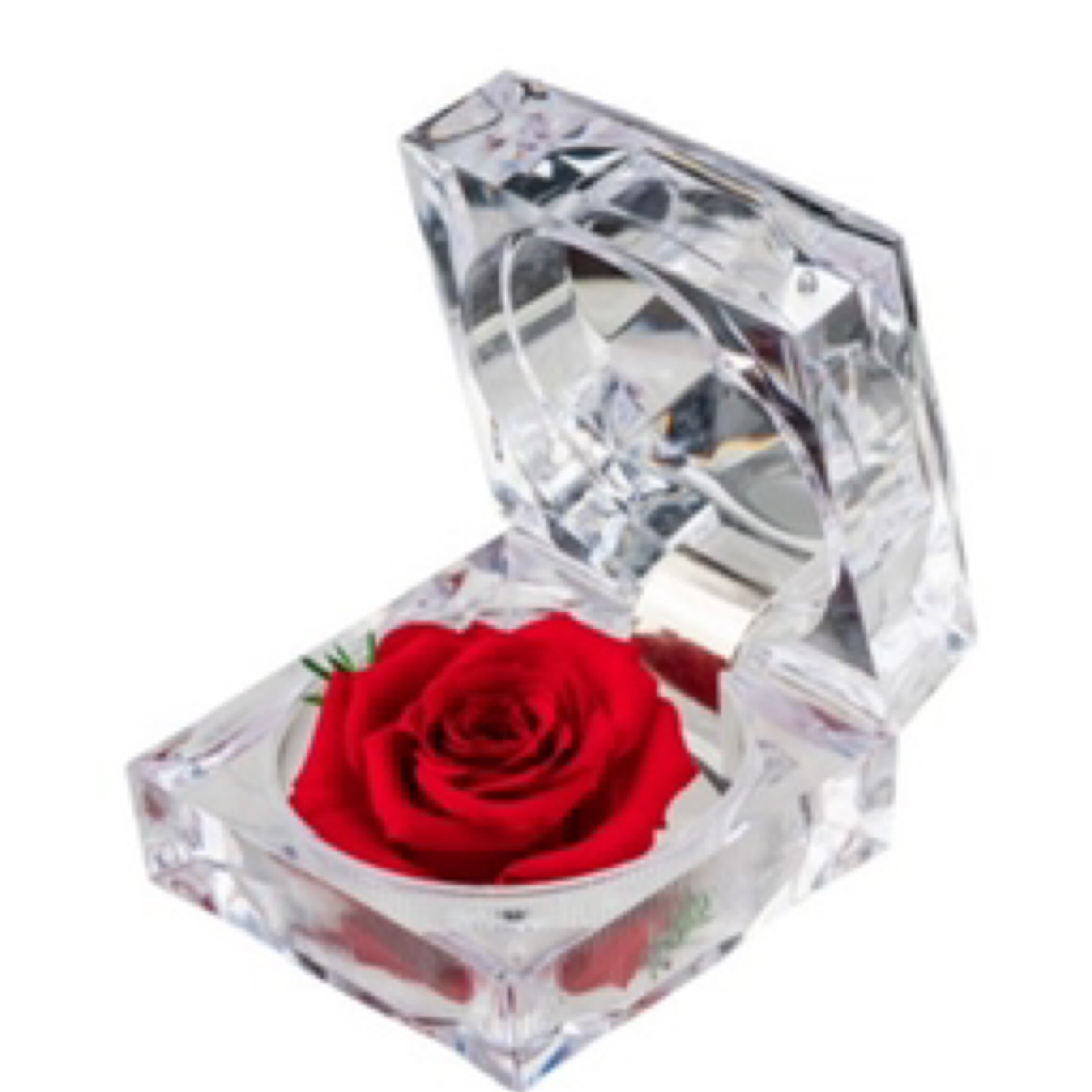 Jewel Rose