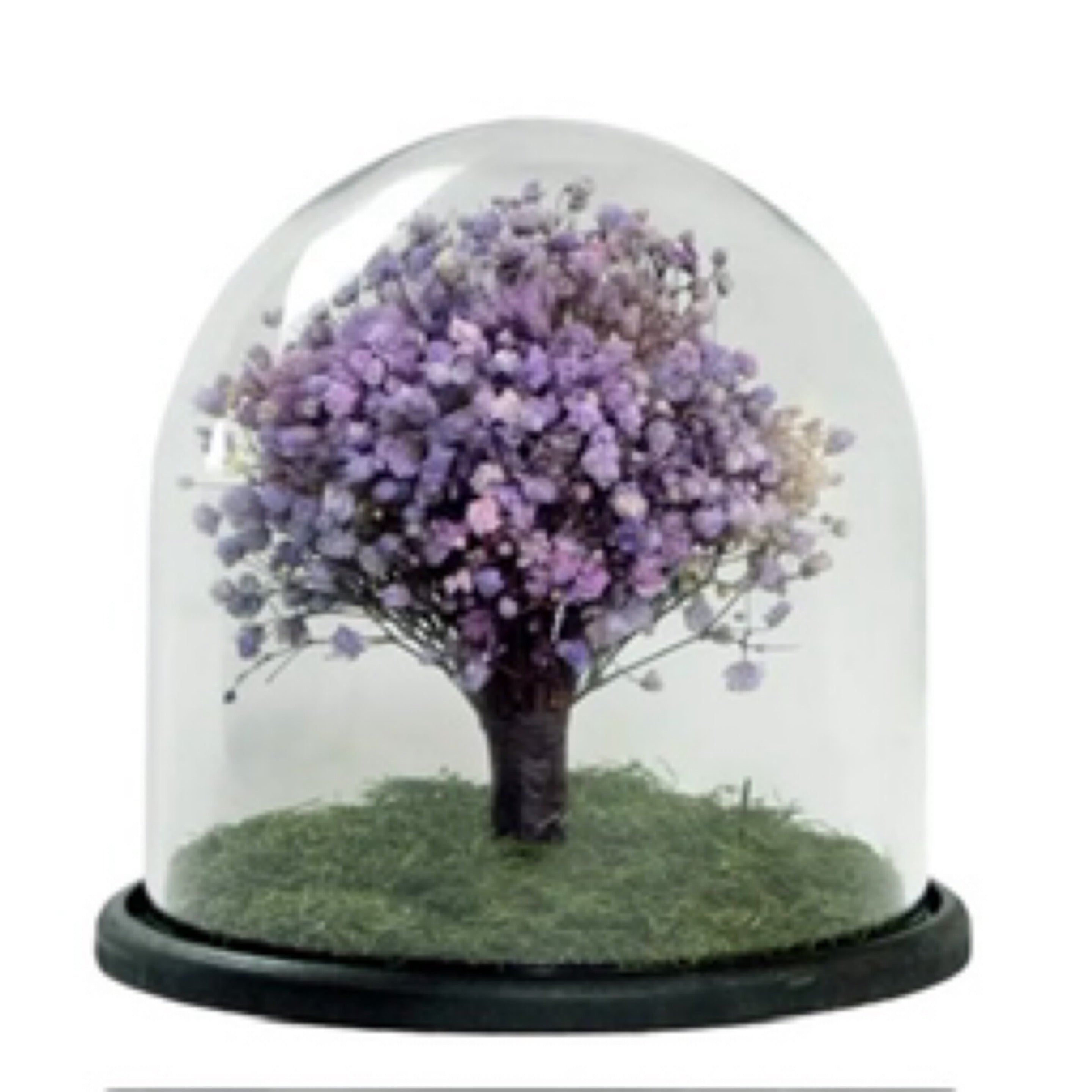 Tree of life