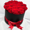 Hat Box x16