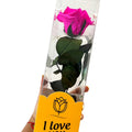 Eternal Rose