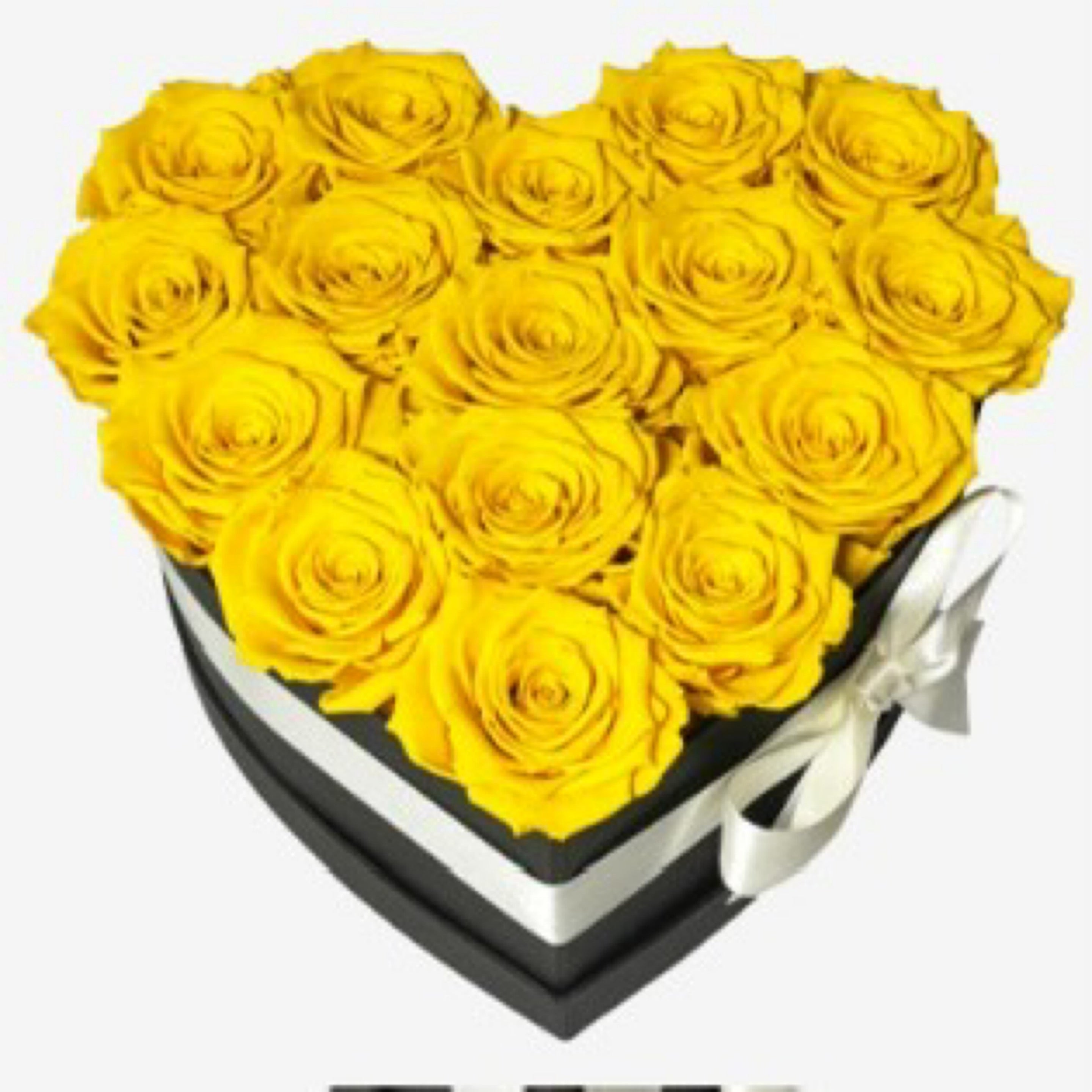 Hatbox Heart