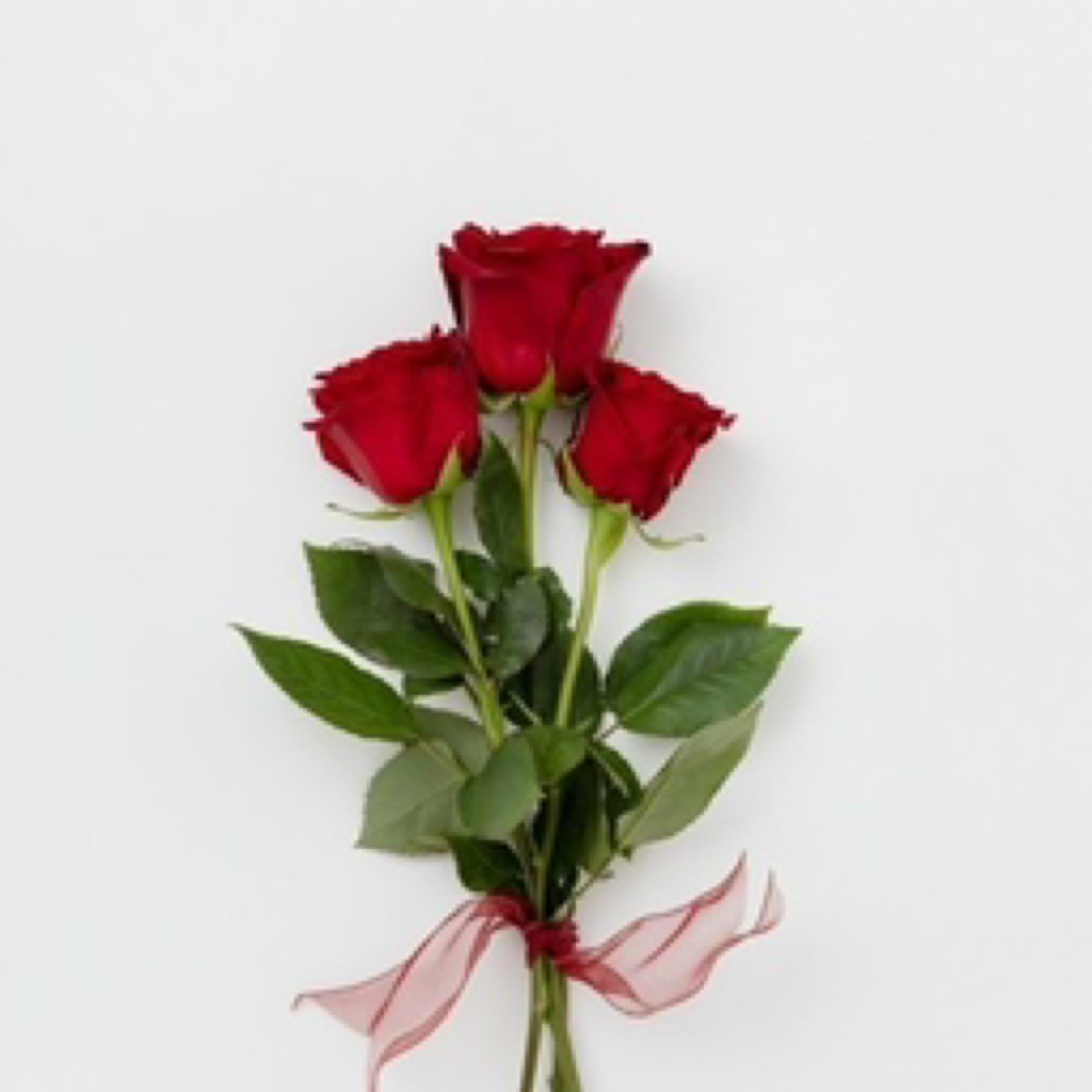 3 Stems Roses