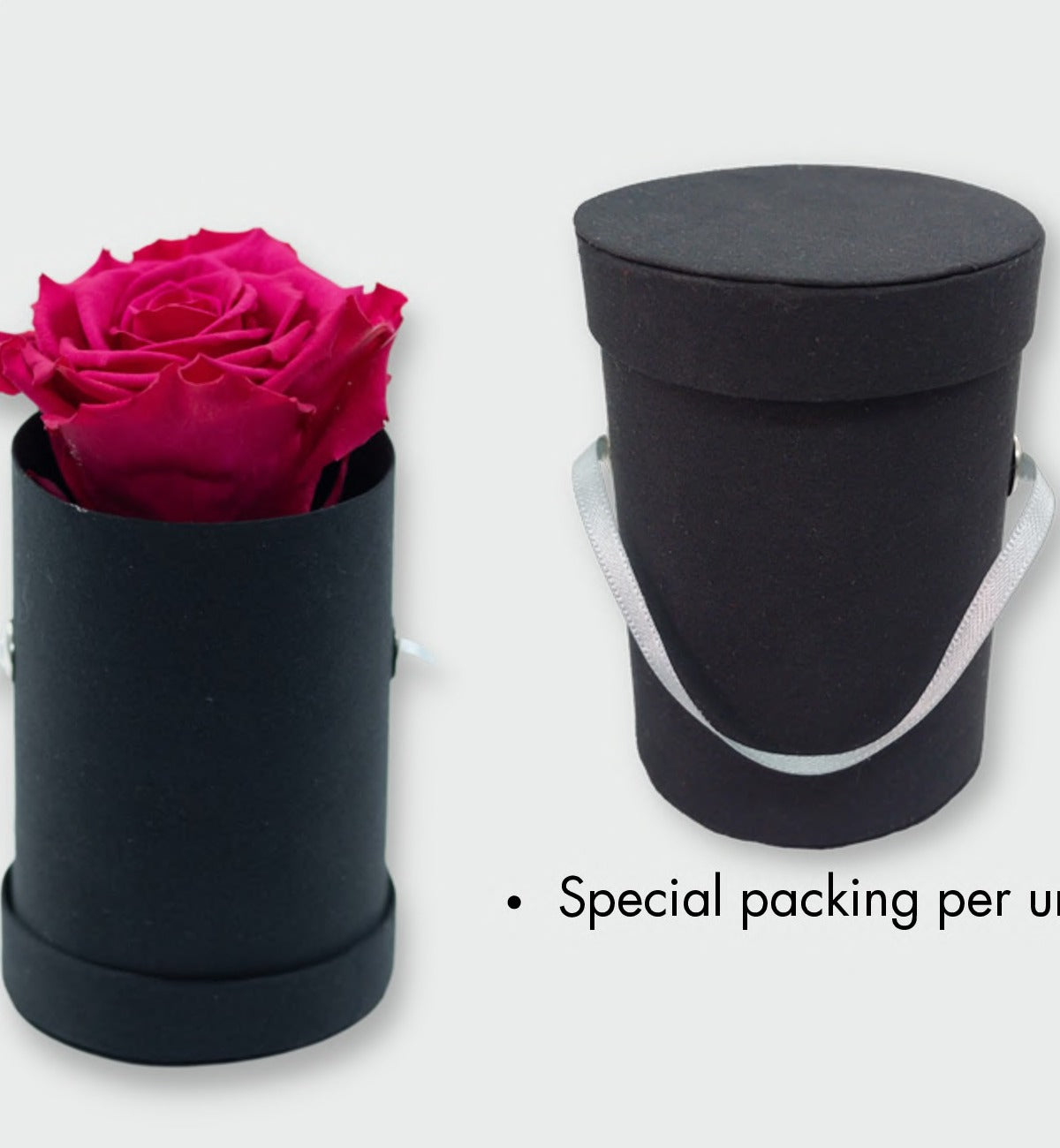 Twiggy · Single Preserved Rose Hat Box