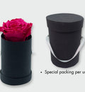 Dome Twiggy · Single Preserved Rose